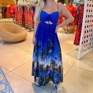 Farm Rio Blue beach maxi dress